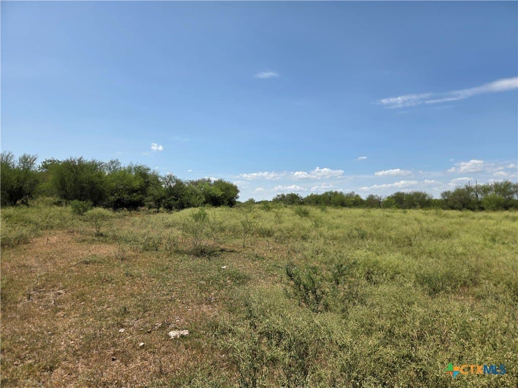 69.59 acres in Victoria County - photo 27