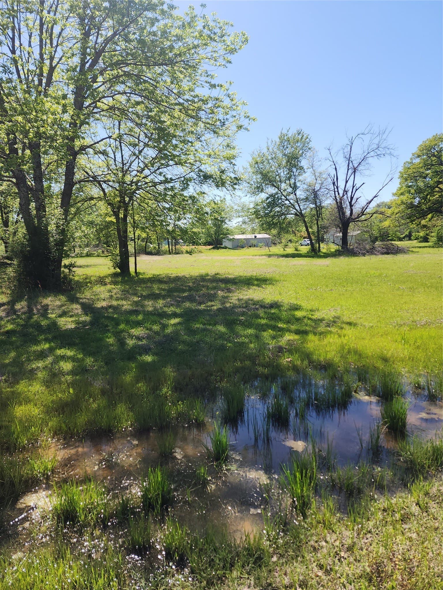 0.44 acres in Henderson County gallery image 2