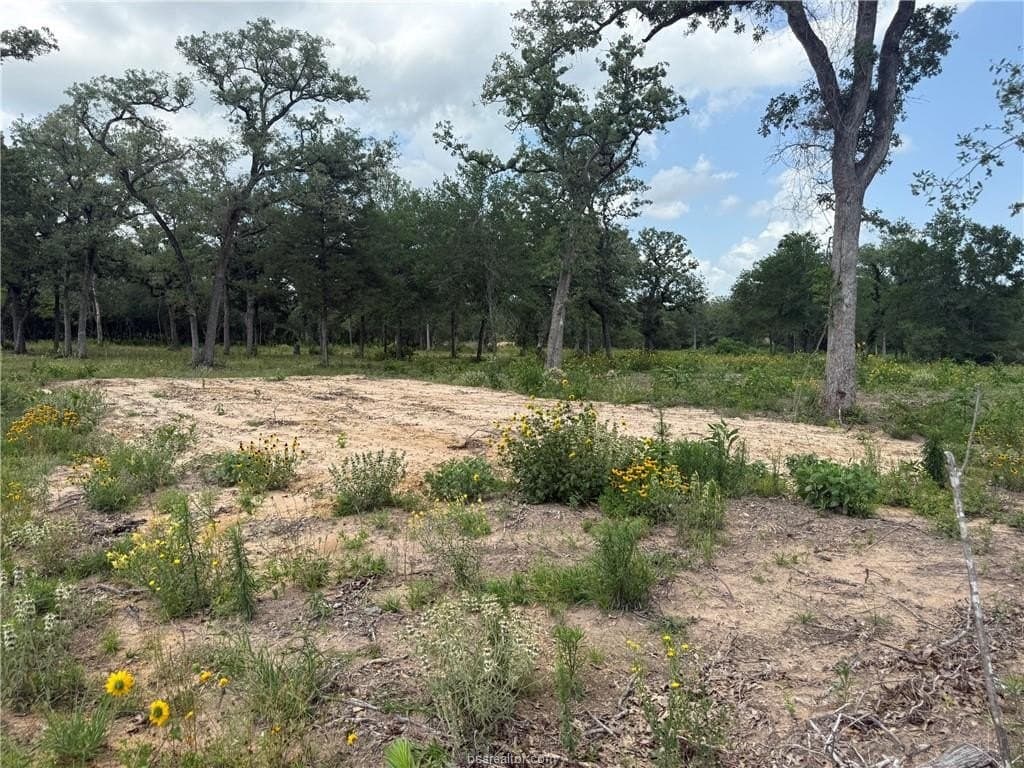 0.93 acres in Burleson County featured view