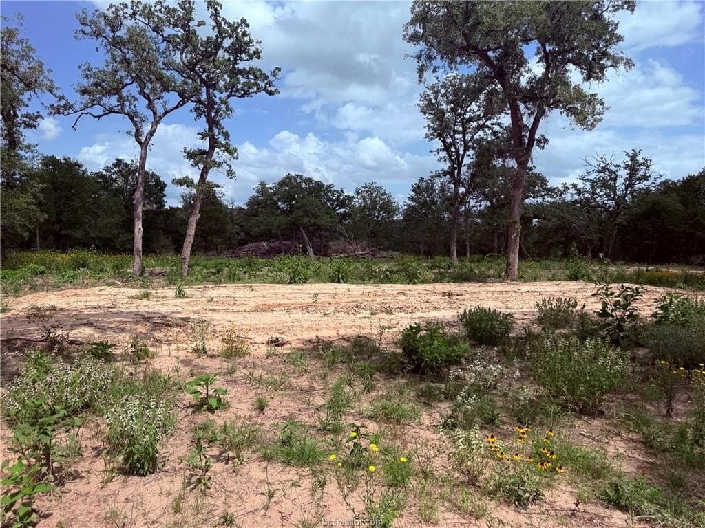 0.93 acres in Burleson County gallery image 2