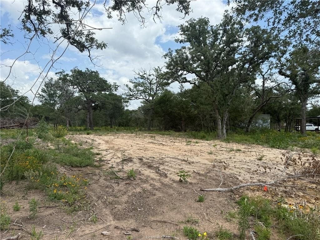 0.93 acres in Burleson County gallery image 4