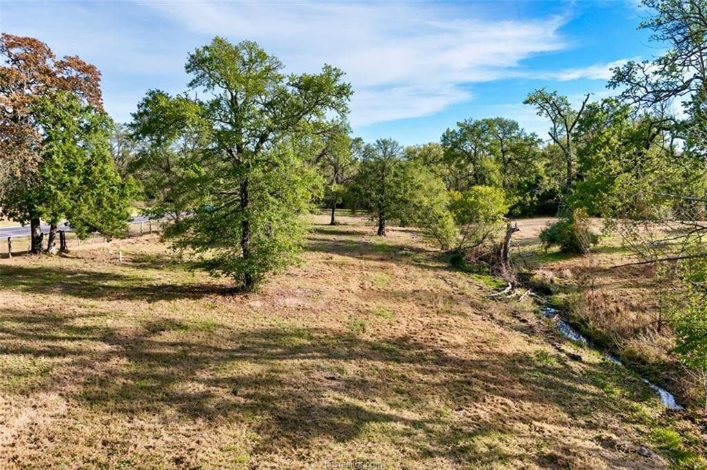 10 acres in Robertson County - photo 3