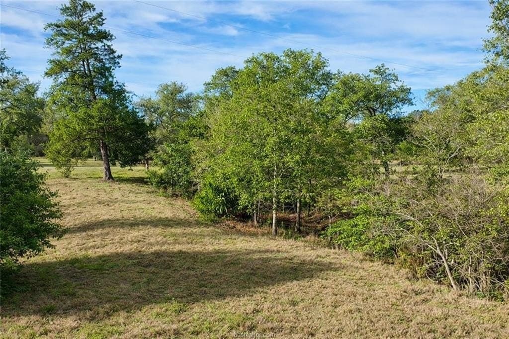 10 acres in Robertson County - photo 2