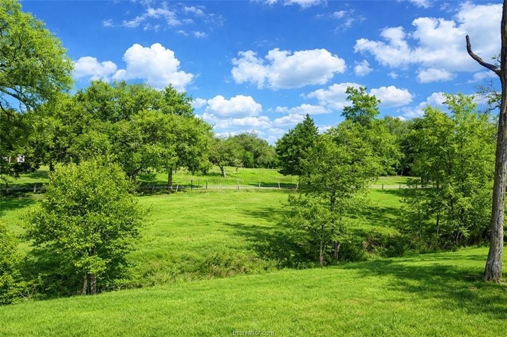 10 acres in Robertson County - photo 4