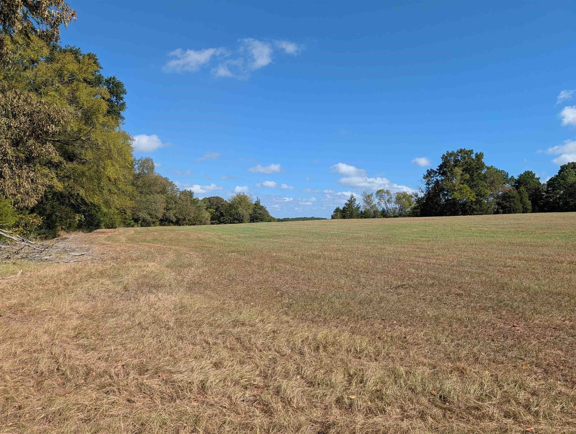 90 acres in Rusk County - photo 3