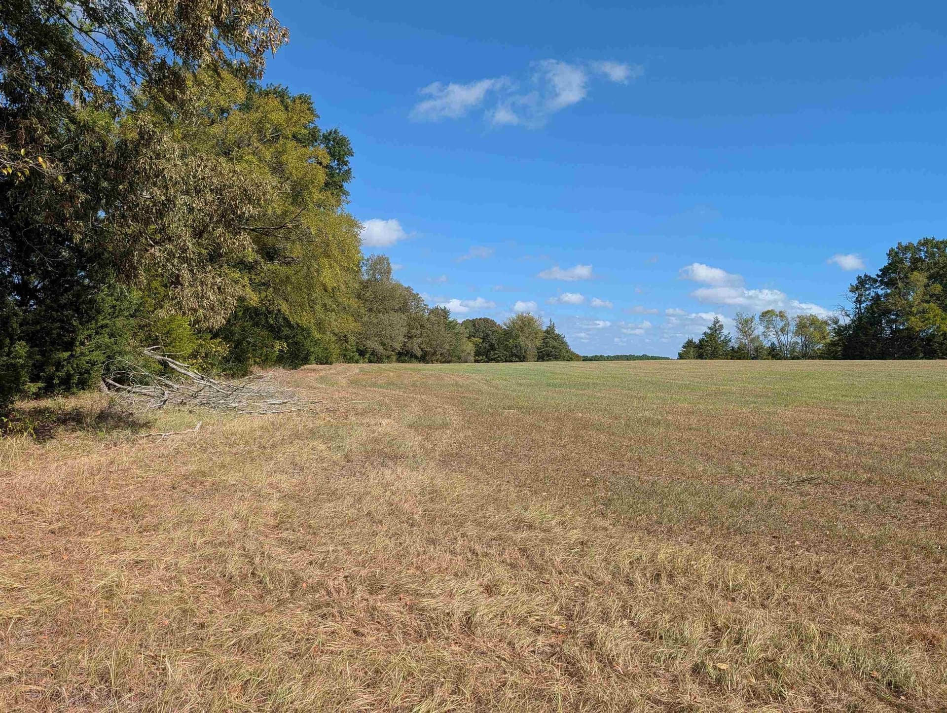 90 acres in Rusk County - photo 4