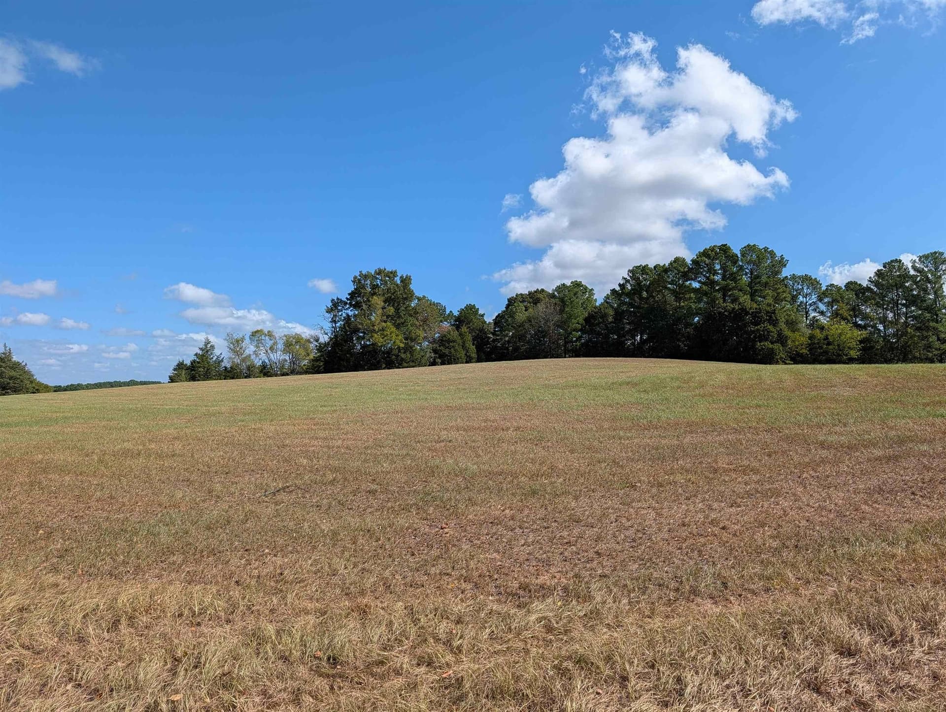 90 acres in Rusk County