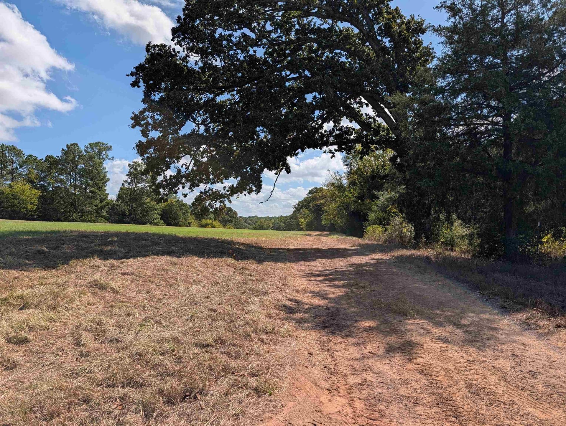 90 acres in Rusk County - photo 2