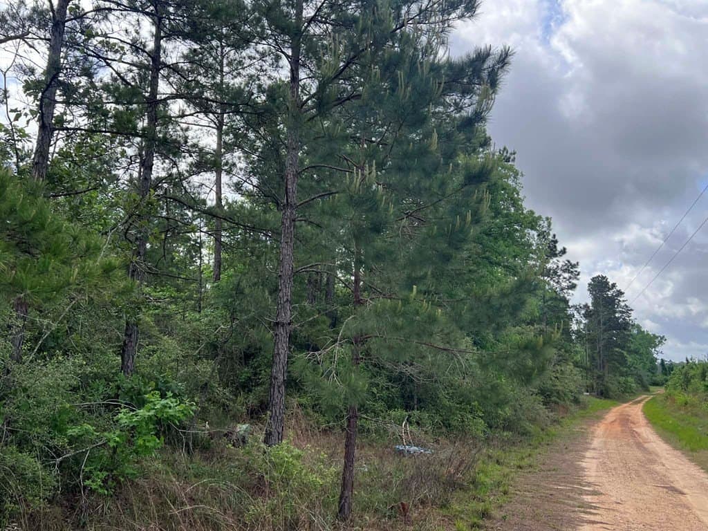 10 acres in Texas County gallery image 4