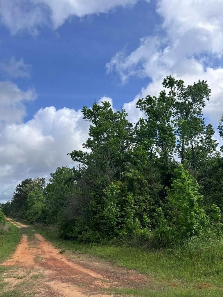 10 acres in Texas County gallery image 2