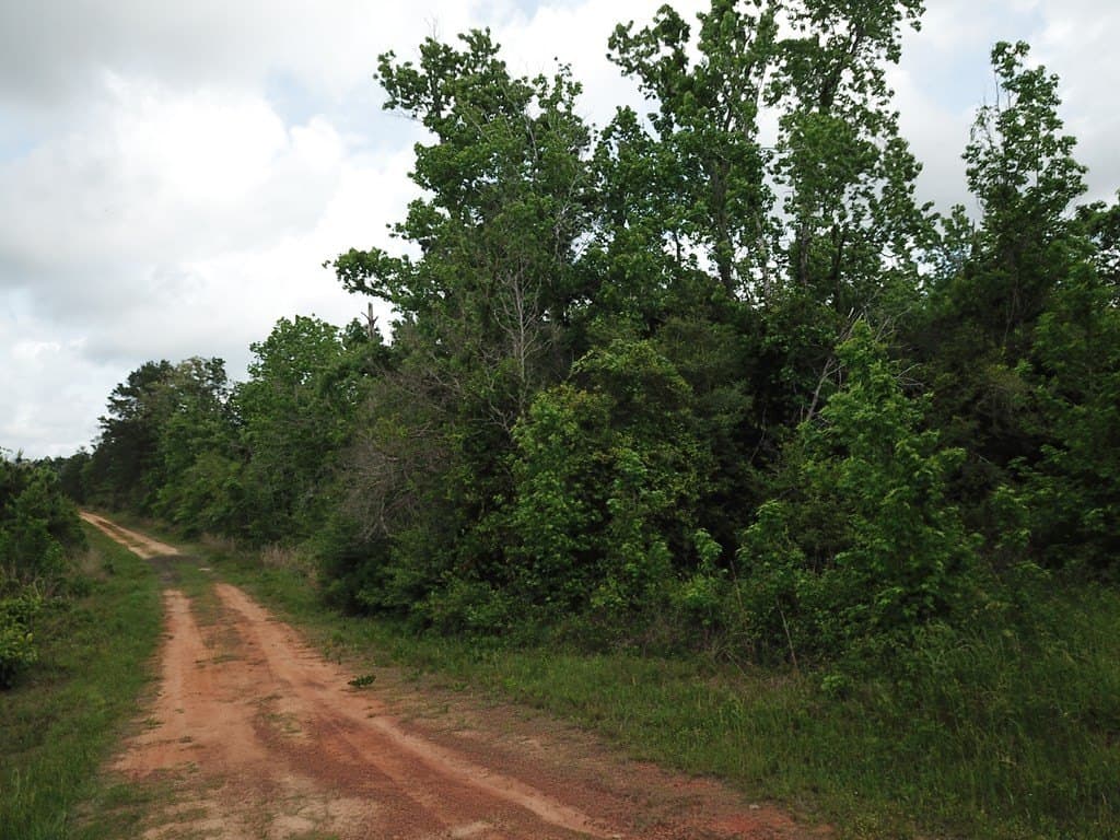 10 acres in Texas County featured view