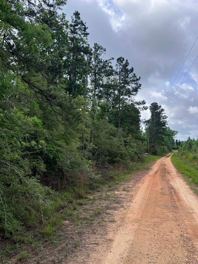 10 acres in Texas County gallery image 3