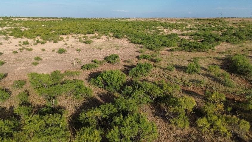58 acres in Baylor County - photo 6