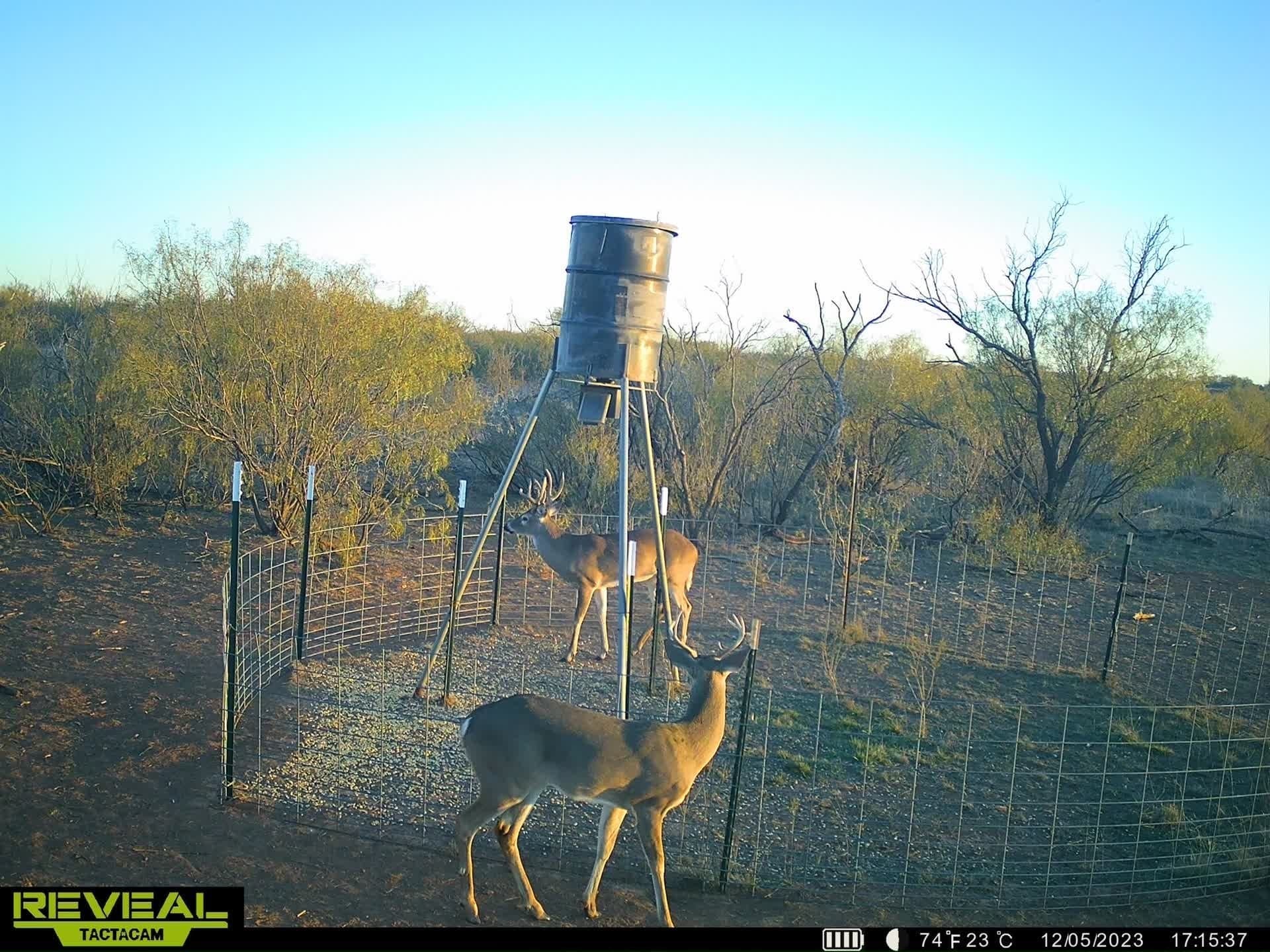 58 acres in Baylor County - photo 13