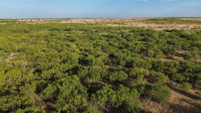 58 acres in Baylor County - photo 4