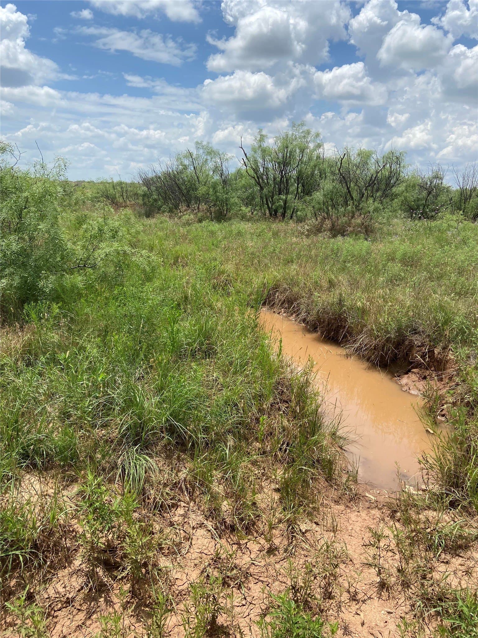 58 acres in Baylor County - photo 16