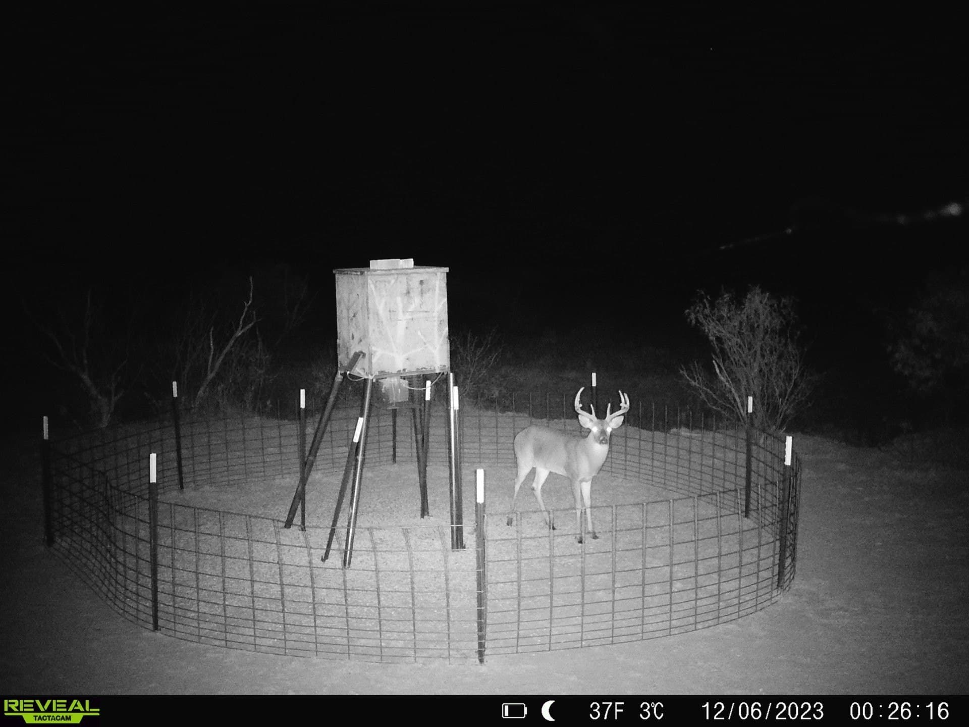 58 acres in Baylor County - photo 14