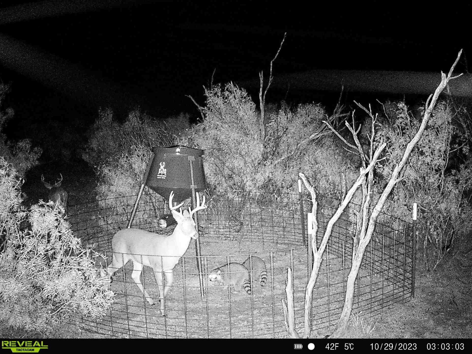58 acres in Baylor County - photo 15