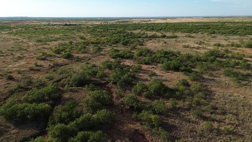 58 acres in Baylor County - photo 11