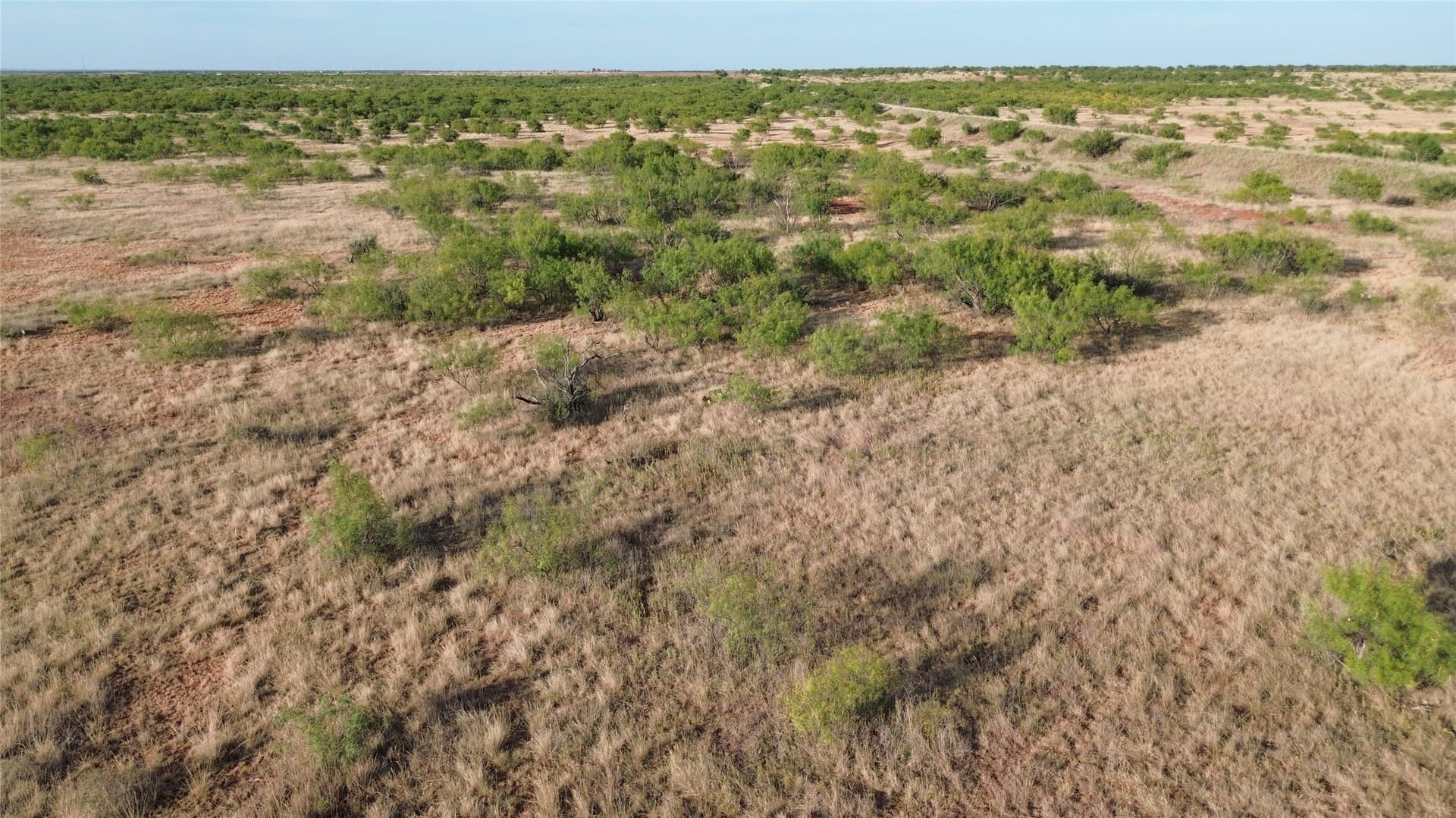 58 acres in Baylor County - photo 8