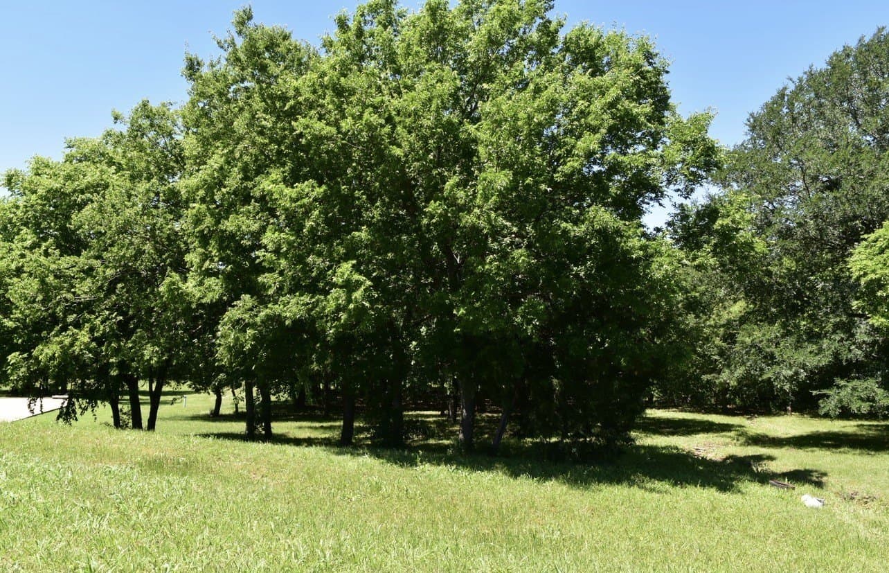 1.04 acres in Dallas County - photo 7