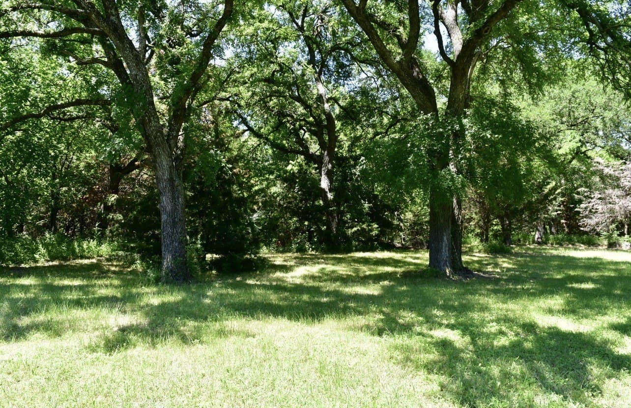 1.04 acres in Dallas County - photo 3