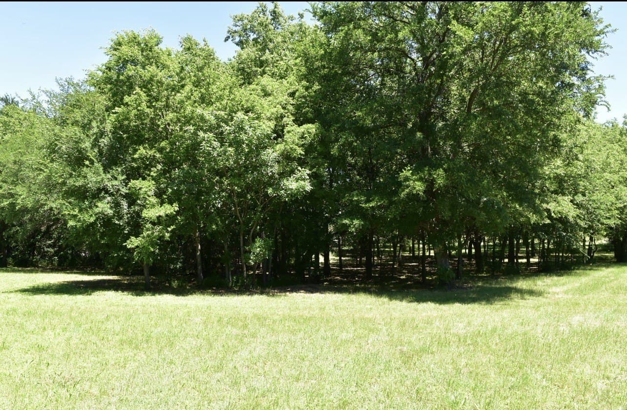 1.04 acres in Dallas County - photo 4