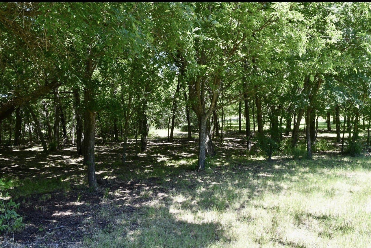 1.04 acres in Dallas County - photo 2