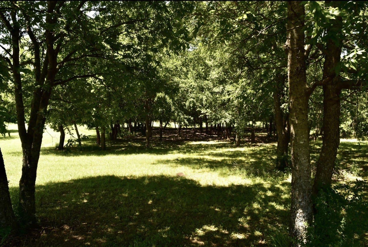 1.04 acres in Dallas County - photo 6