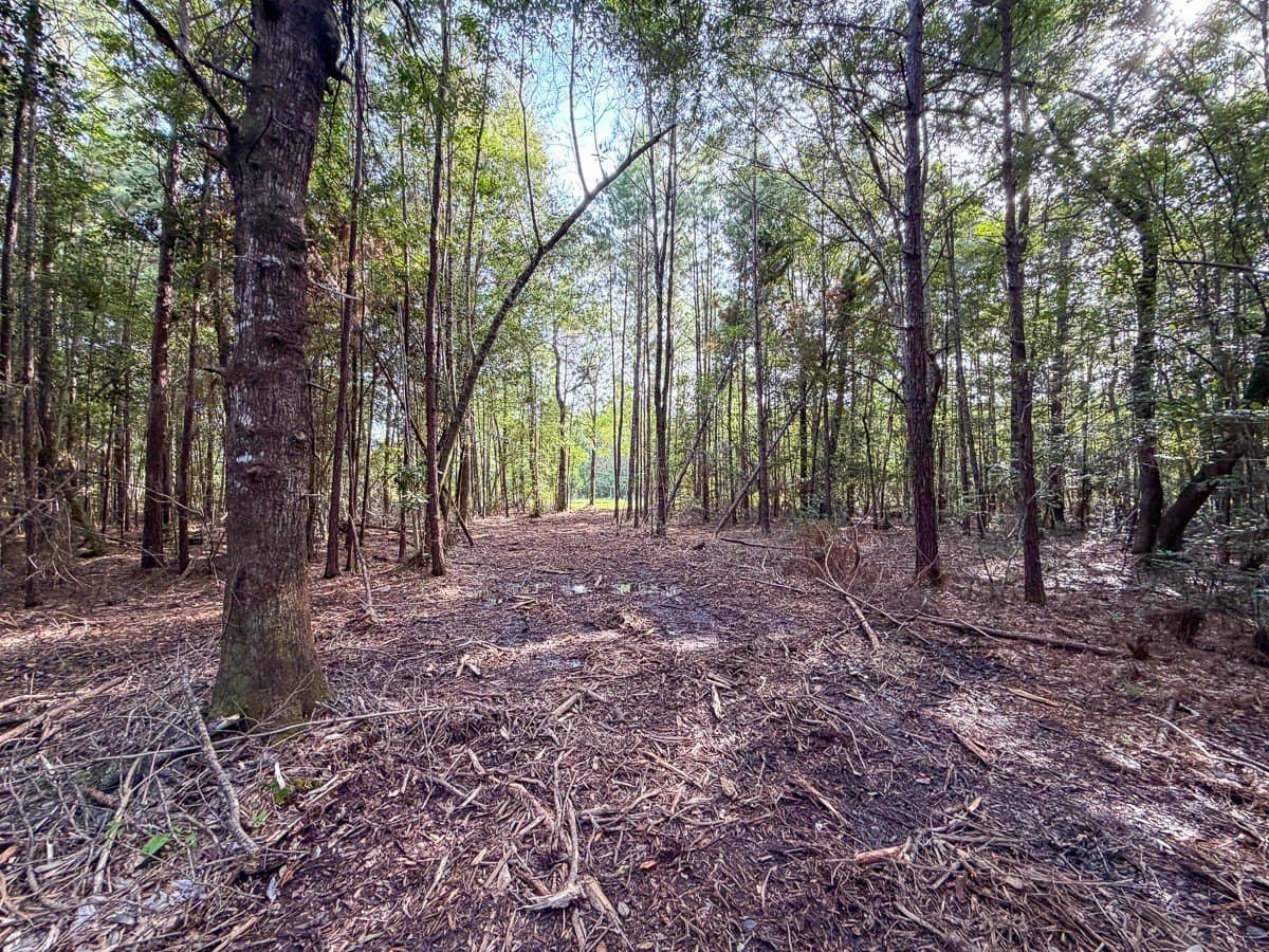 3.39 acres in Hardin County - photo 3