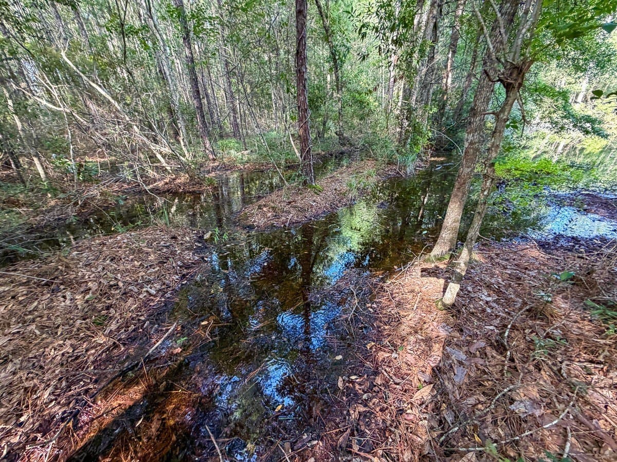 3.39 acres in Hardin County - photo 15