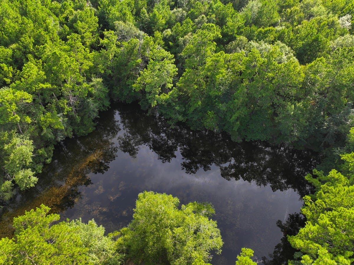 3.39 acres in Hardin County - photo 4