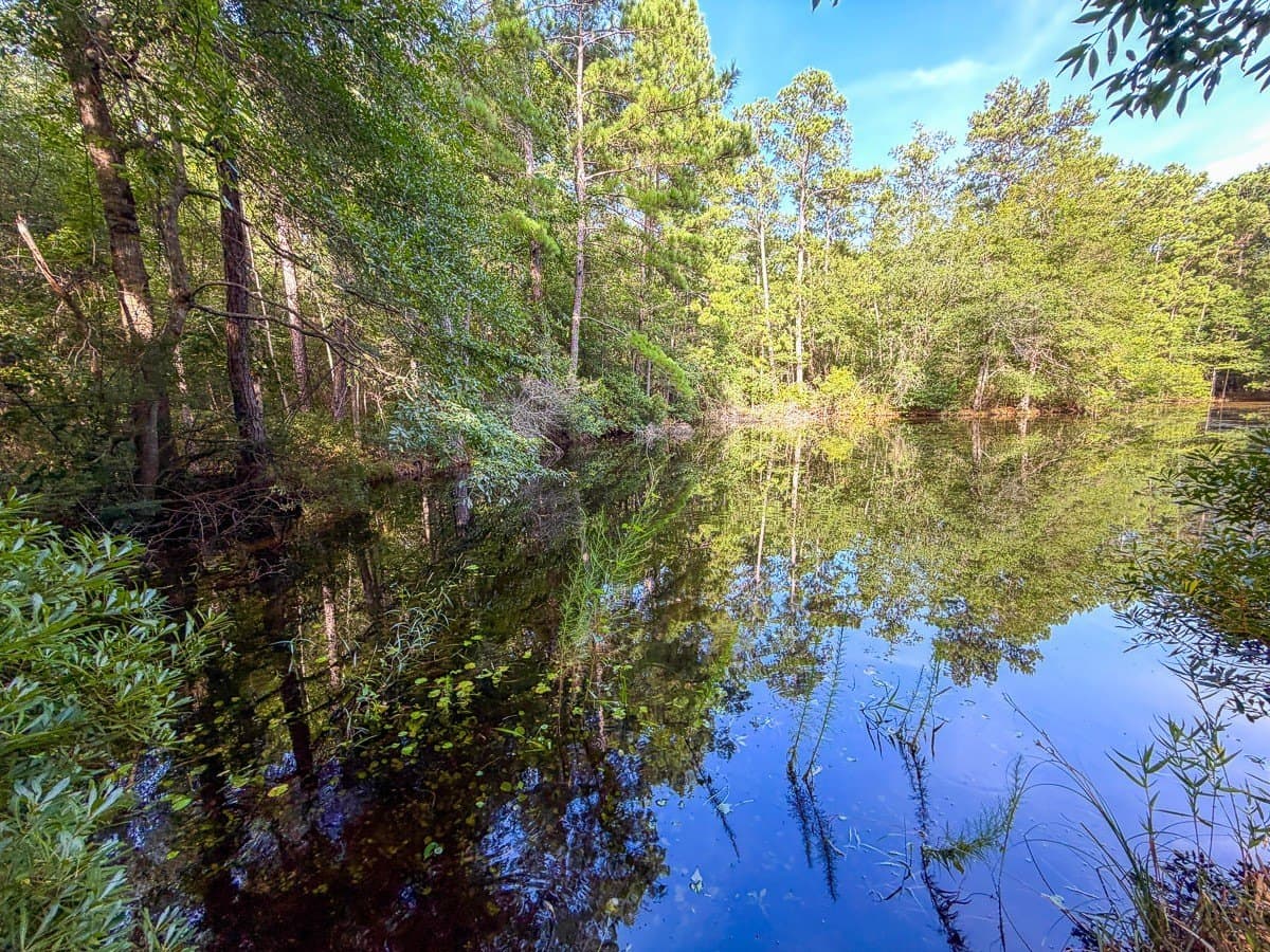 3.39 acres in Hardin County - photo 14