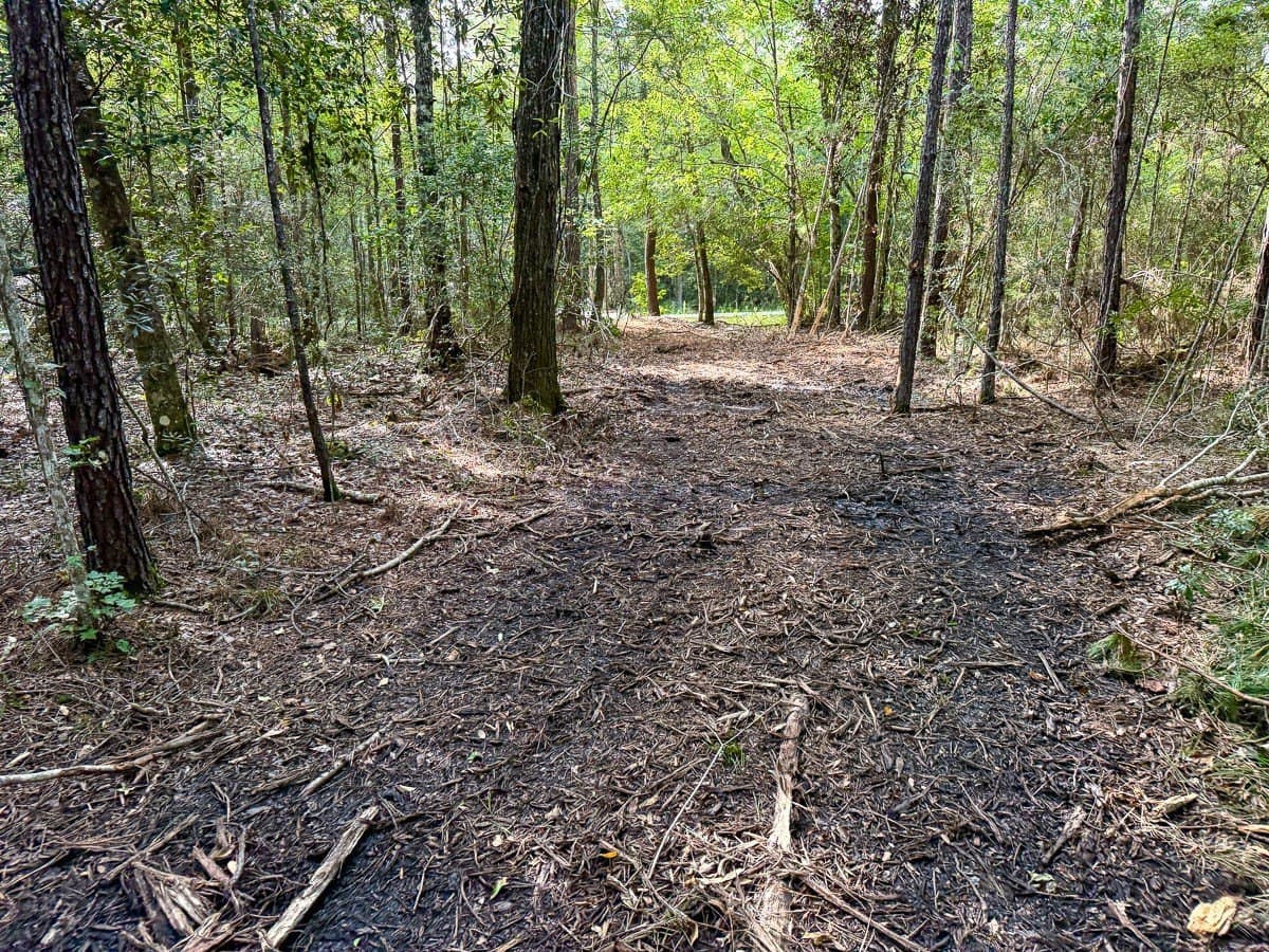 3.39 acres in Hardin County - photo 16