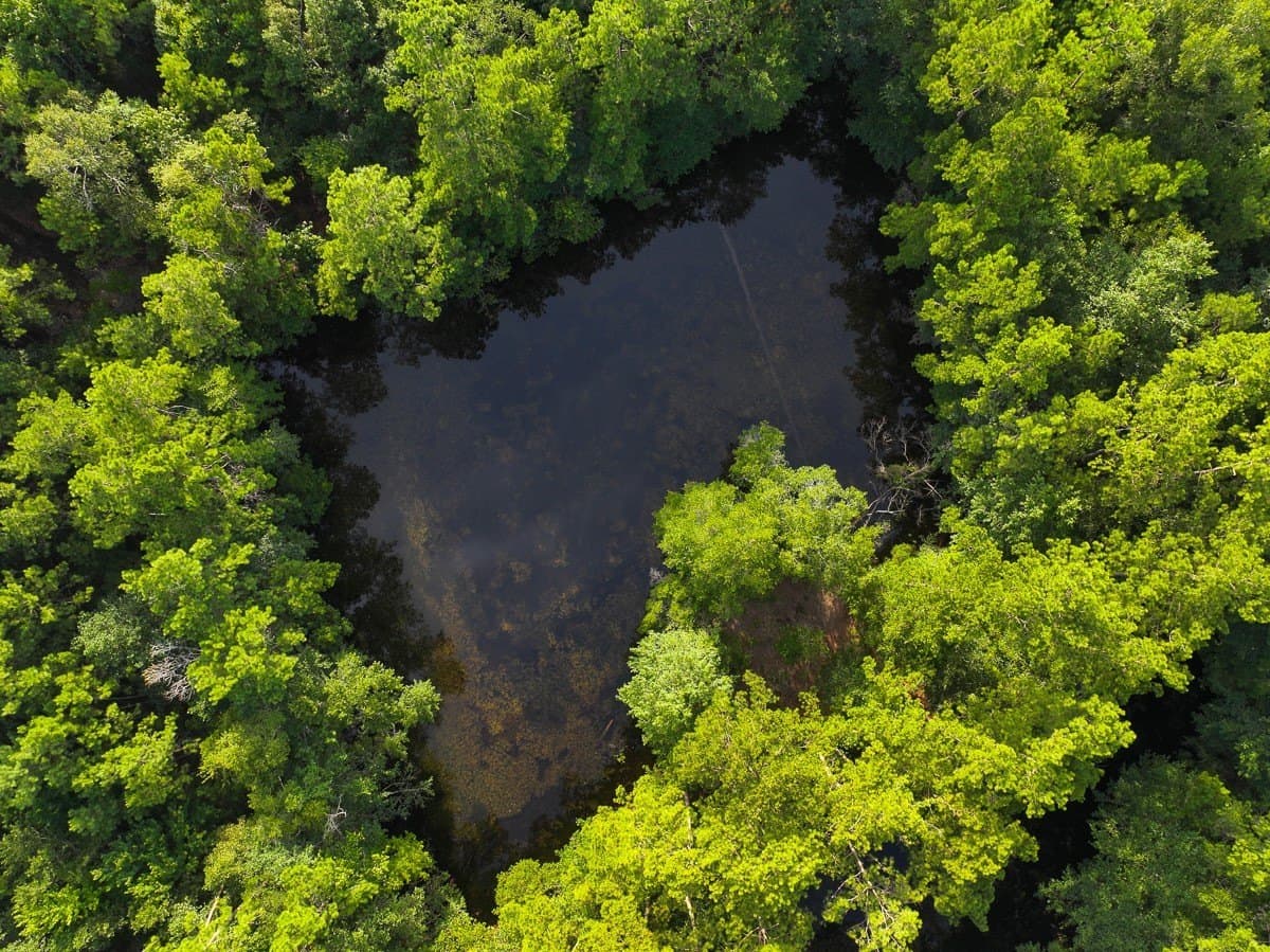 3.39 acres in Hardin County - photo 2