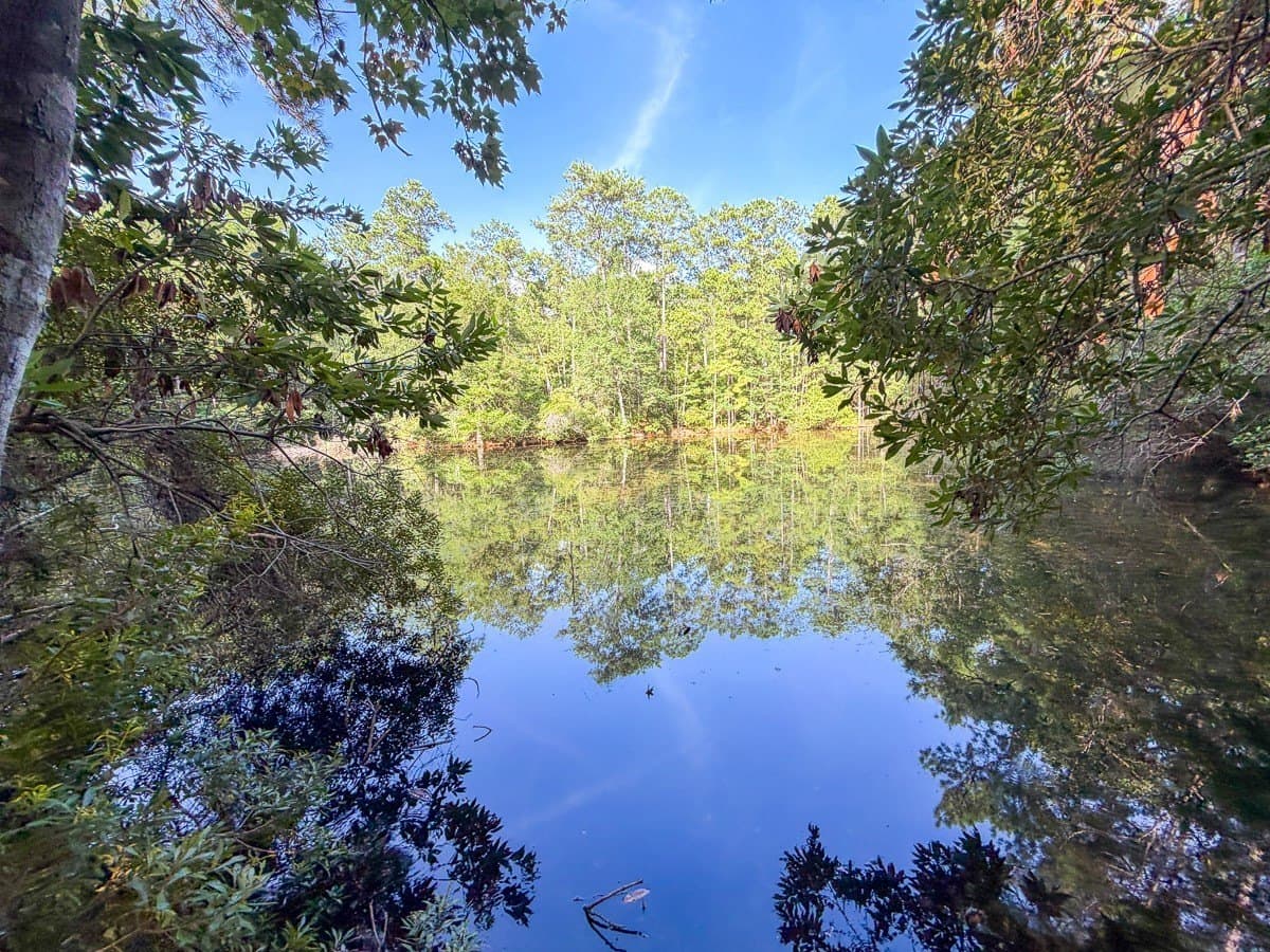 3.39 acres in Hardin County - photo 10