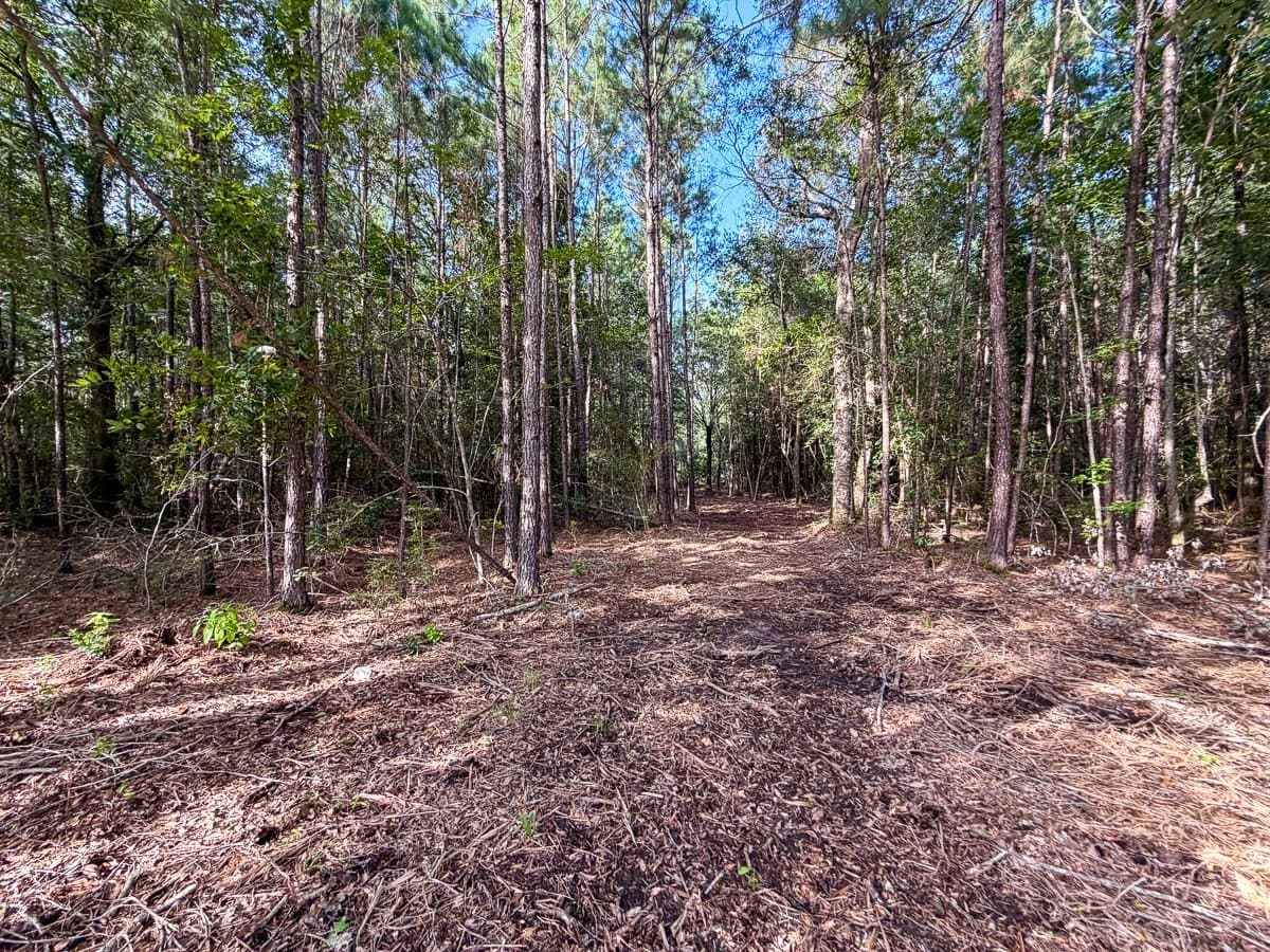 3.39 acres in Hardin County - photo 9