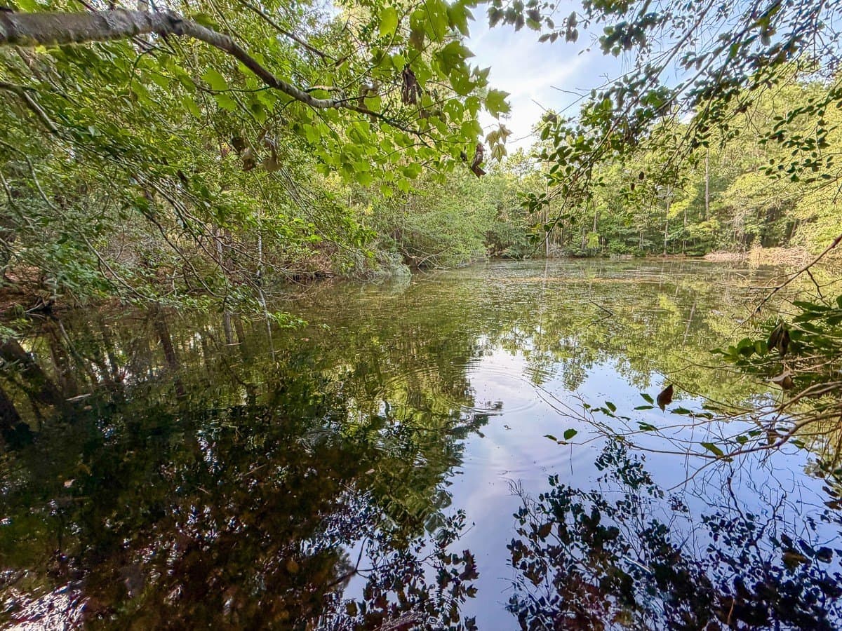 3.39 acres in Hardin County - photo 11