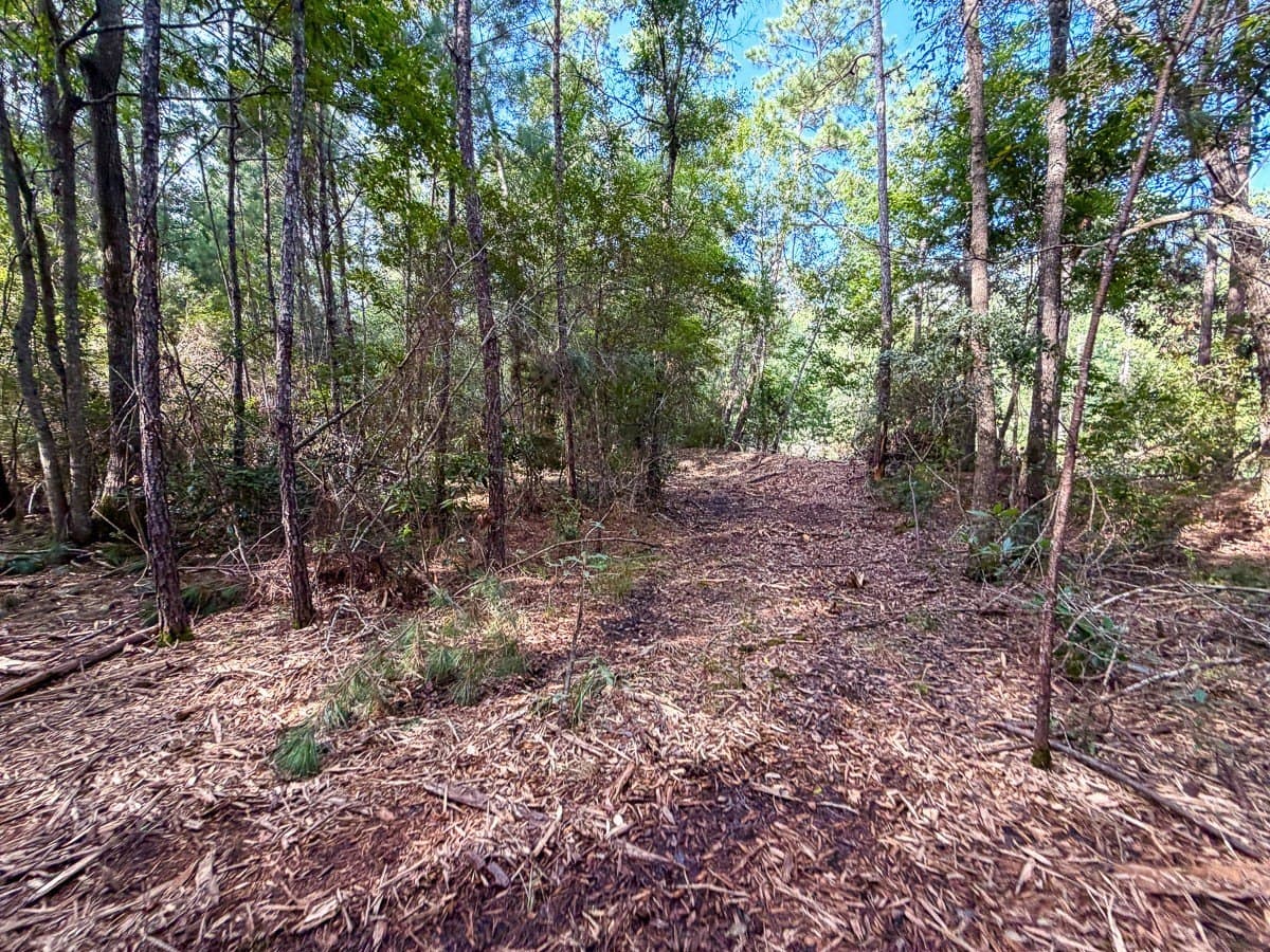 3.39 acres in Hardin County - photo 12