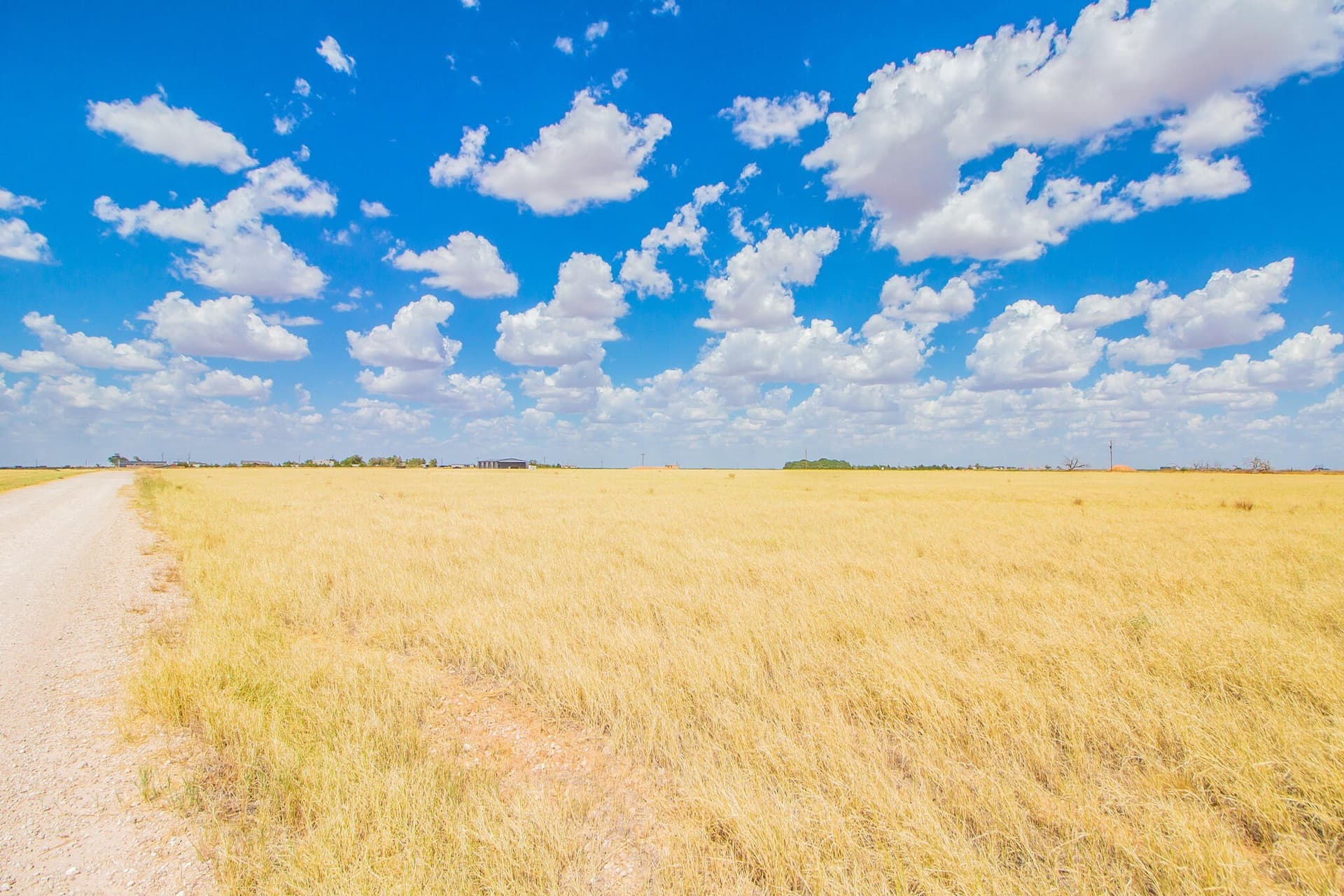 20 acres in Lubbock County - photo 2