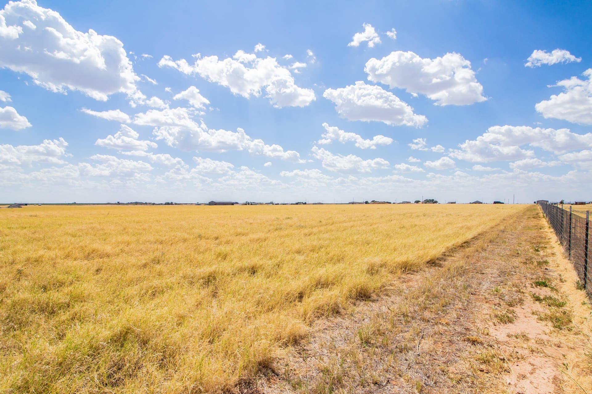 20 acres in Lubbock County - photo 5