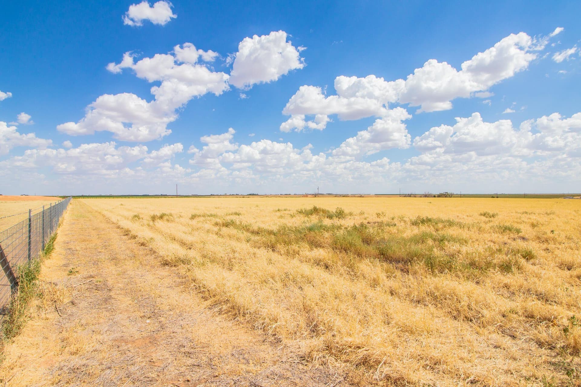 20 acres in Lubbock County - photo 4