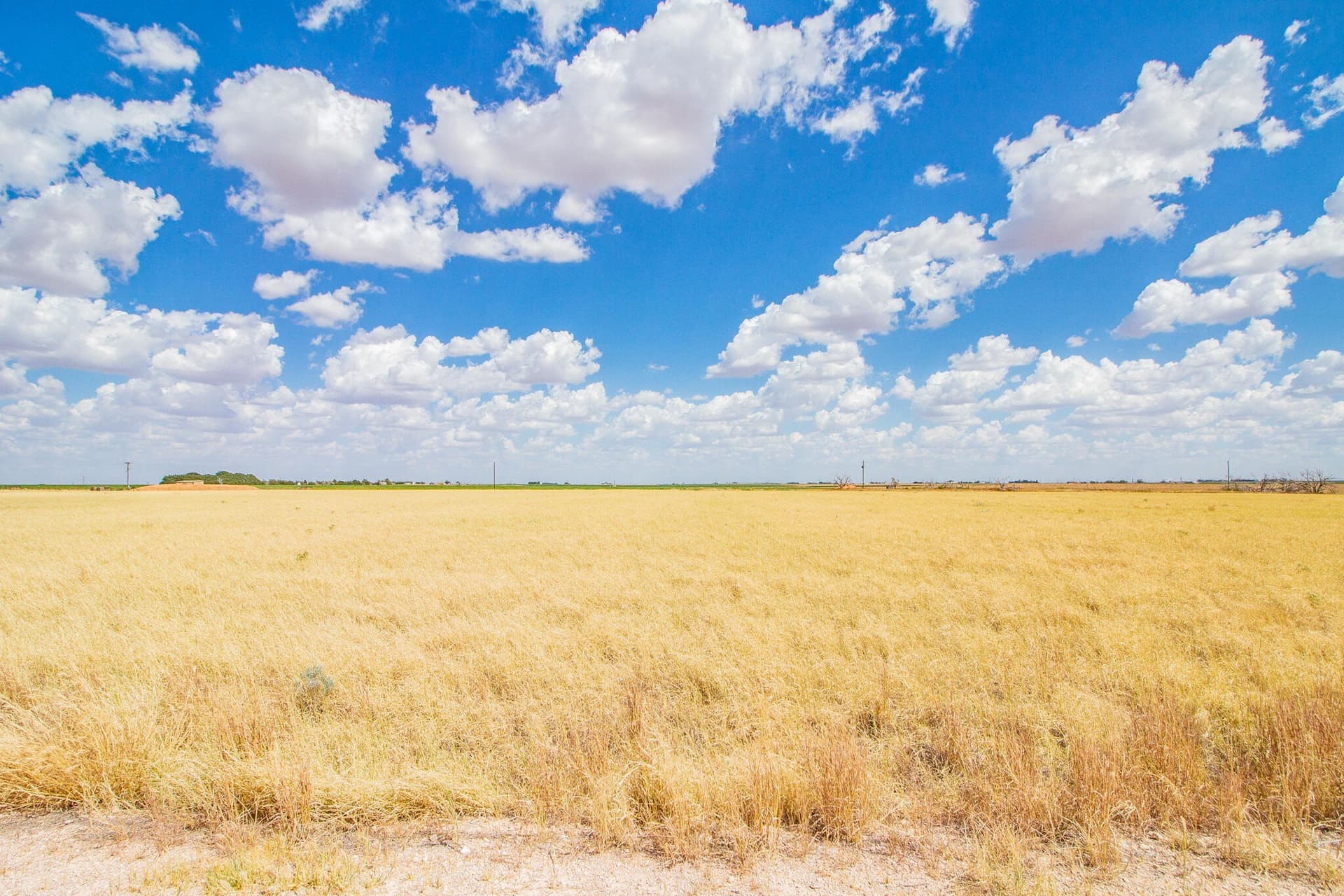 20 acres in Lubbock County - photo 3