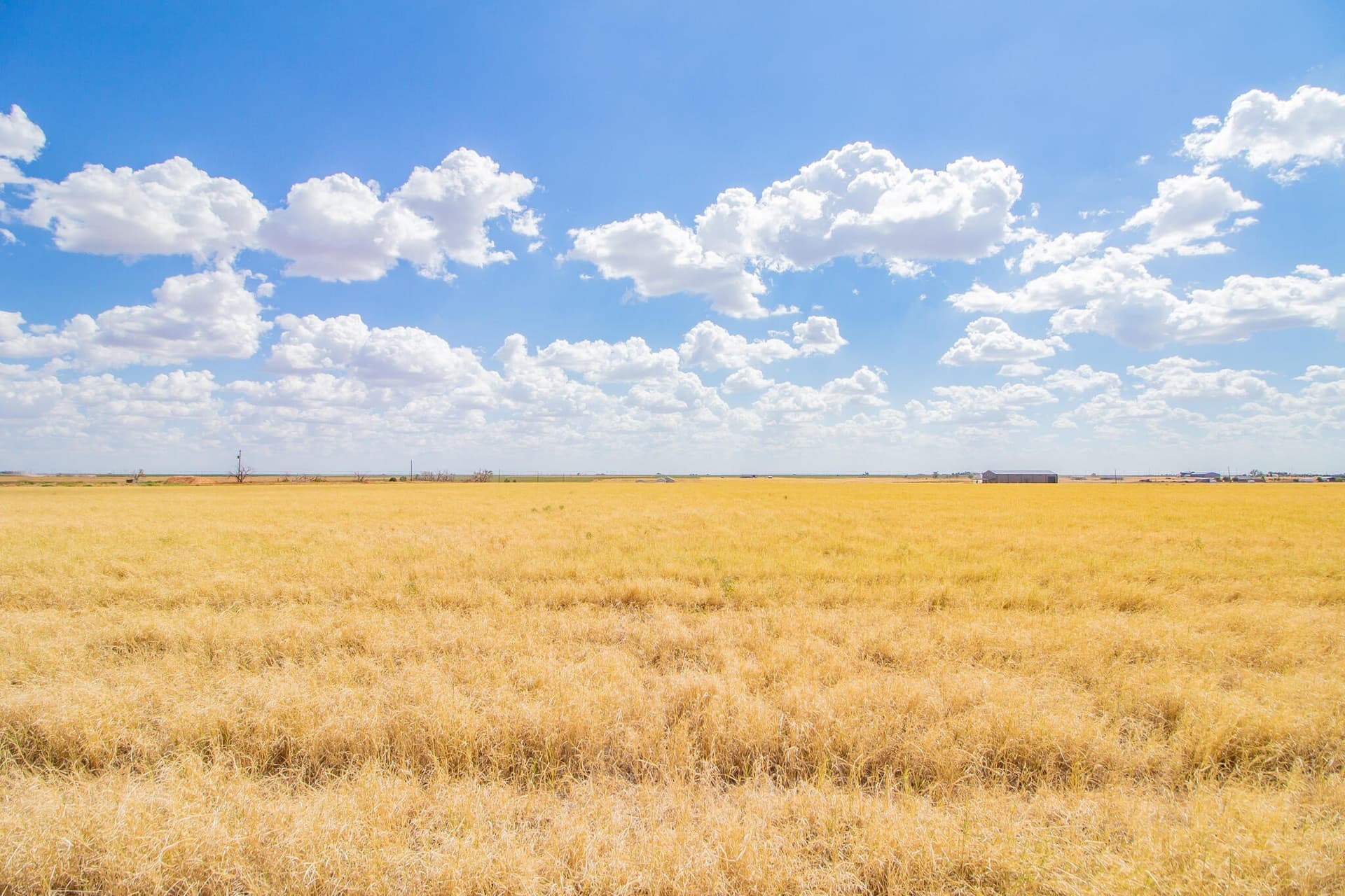 20 acres in Lubbock County - photo 6
