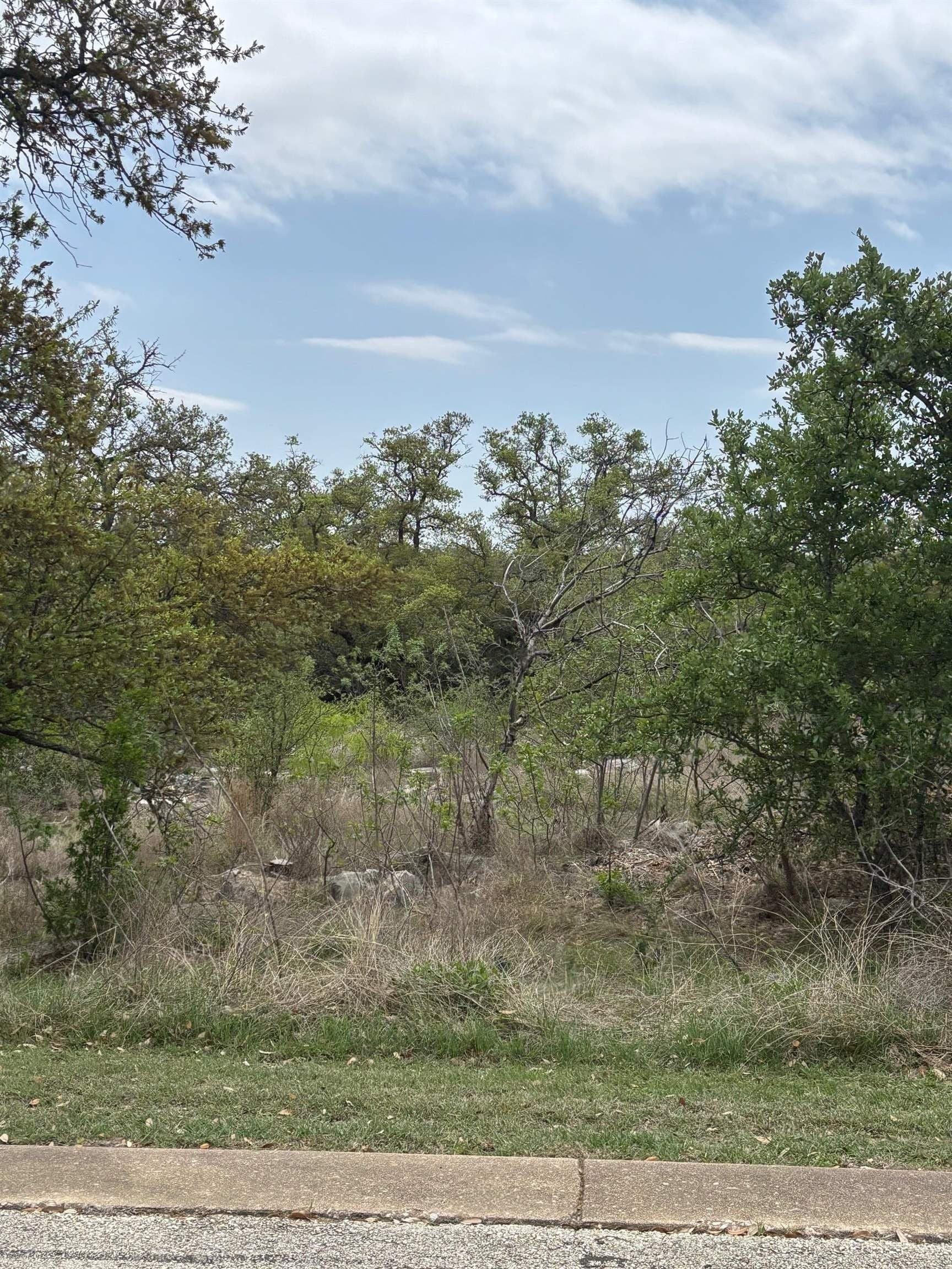 3 acres in Burnet County gallery image 3
