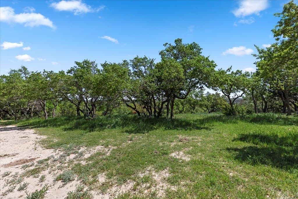 8.14 acres in Hays County - photo 19