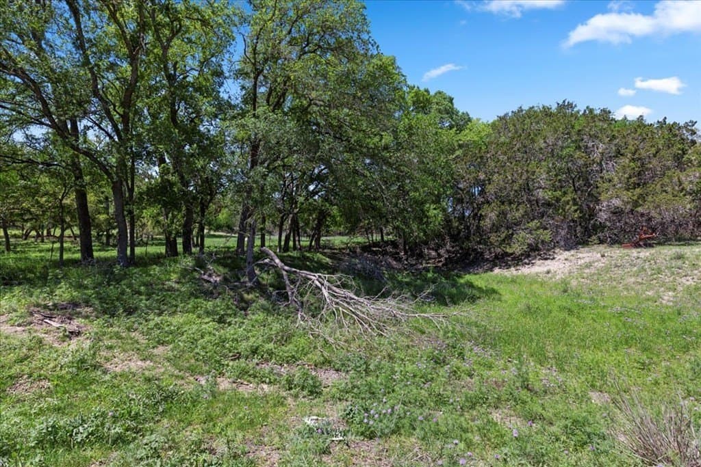 8.14 acres in Hays County - photo 22