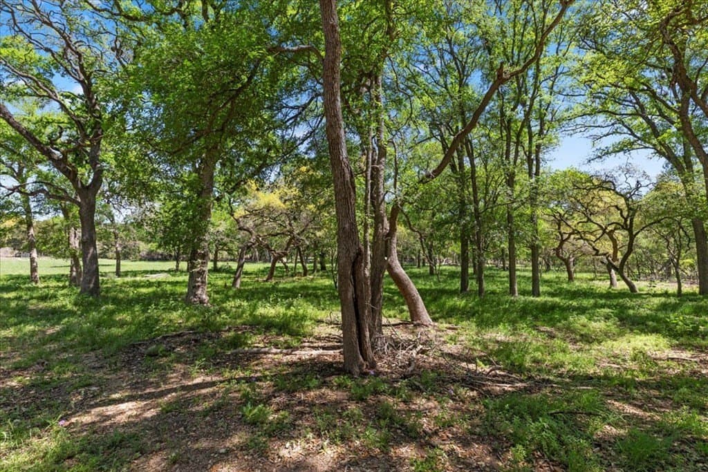 8.14 acres in Hays County - photo 17