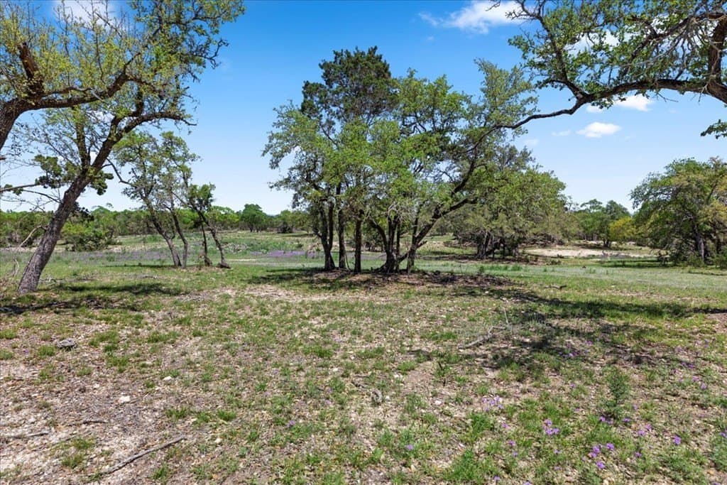 8.14 acres in Hays County - photo 8