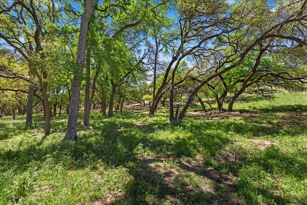 8.14 acres in Hays County - photo 28